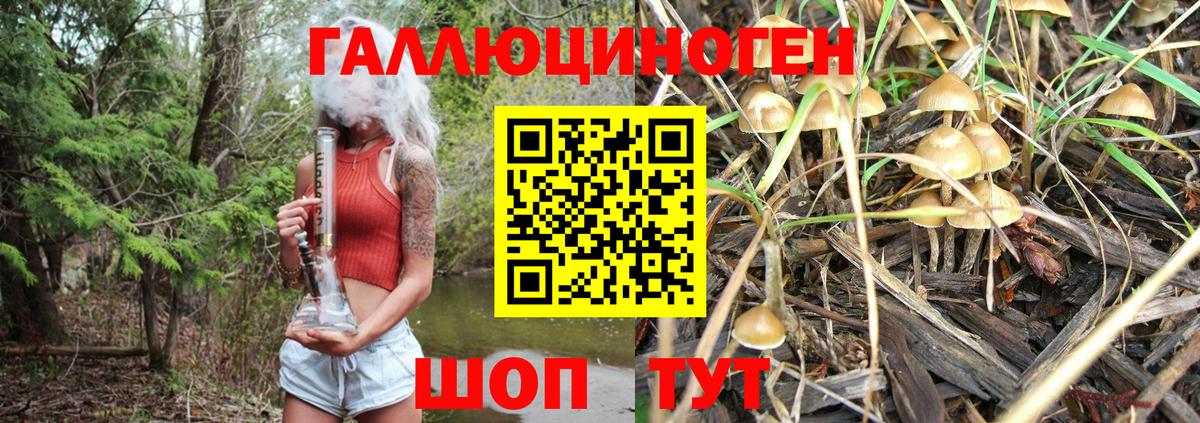 Псилоцибиновые грибы прущие грибы Якутск