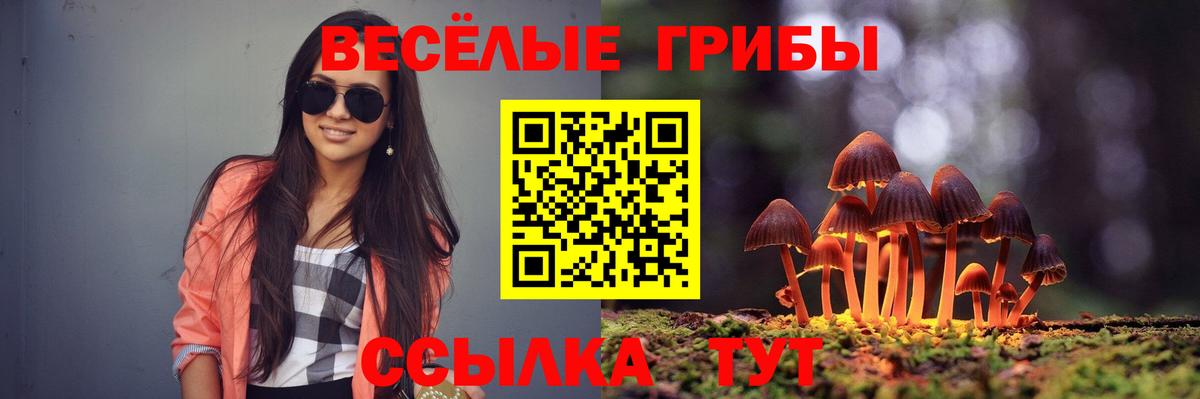 Якутск  Галлюциногенные грибы GOLDEN TEACHER  Вход с VPN  Псилоцибиновые грибы Psilocybe 